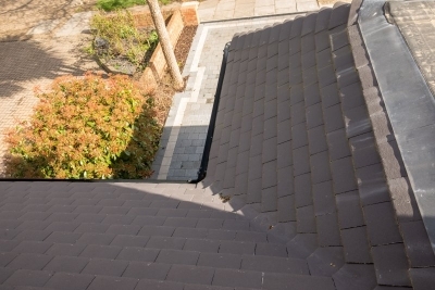 IMGL002364215317dda28