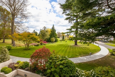 IMG03655901f6a194202