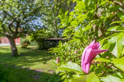 IMG0605-2-Copy5908b57659b4f