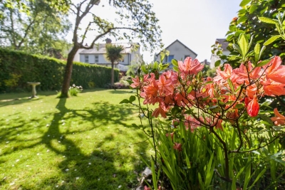 IMG0608-2-Copy5908b57bf2983