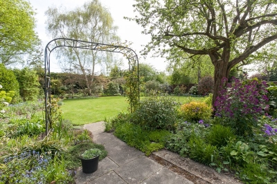 IMG25605874ced7955f5