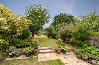 IMG65385874cf4d6c678