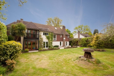 IMG2131-4571f56404d840