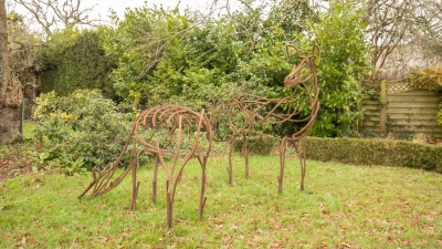 IMGL1070165bb790d09fe7